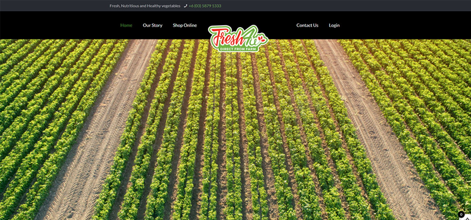 Fresh4u-2 website portfolio preview