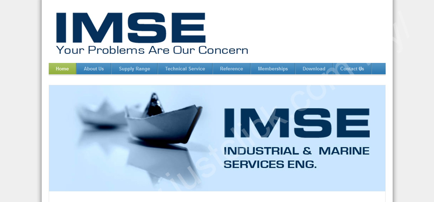 IMSE website portfolio preview